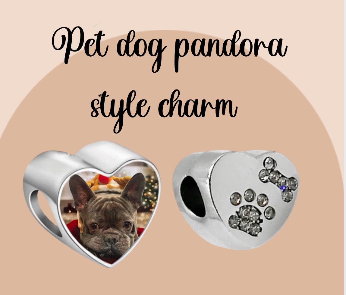 Pet dog pandora style photo charm