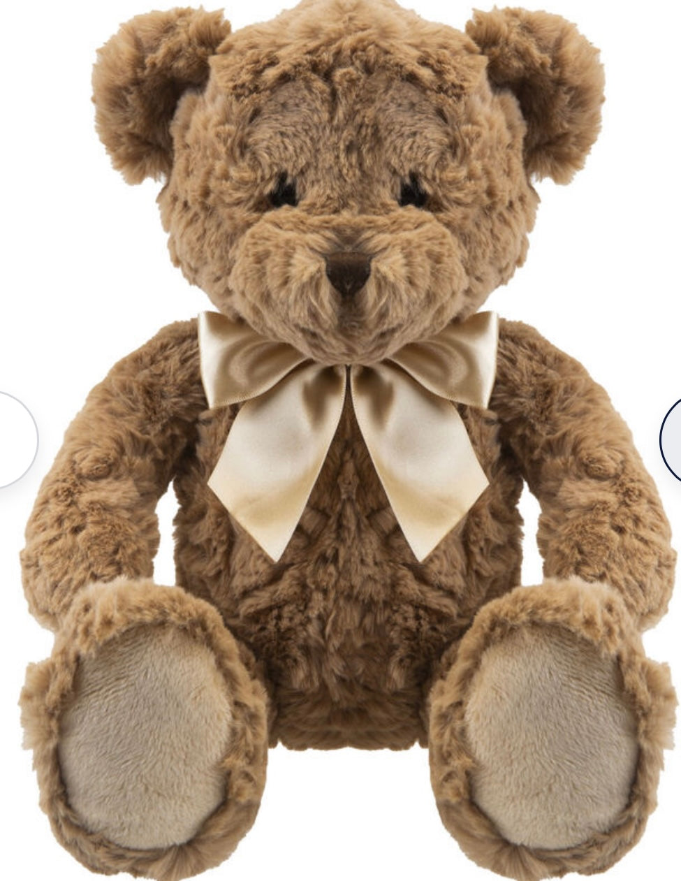 keepsake bear Teddy